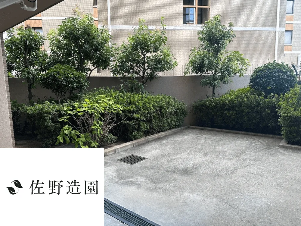 【東灘区】マンション共有部分 剪定施工